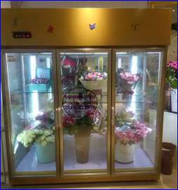 三开门鲜花柜尺寸，黄山花材花束冷藏柜