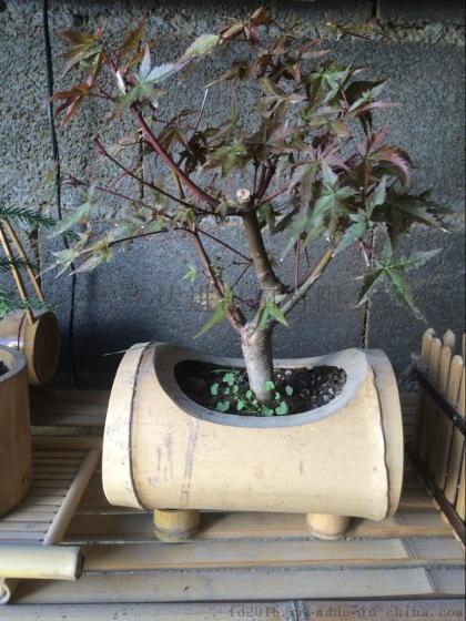 FD-1611213各种款式竹筒花盆,盆栽